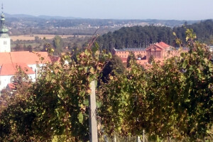 Kaznionica u Lepoglavi