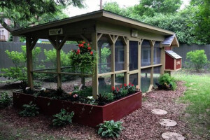 Kreativni kokošinjci