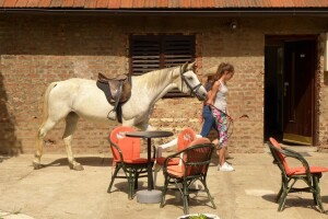 Otvorena vrata konjičkog kluba Visoko