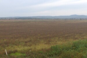 Zakorovljene oranice