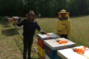 Pčelinja društva preselio na pašu kestena
