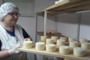 Radni dan na OPG Đurković