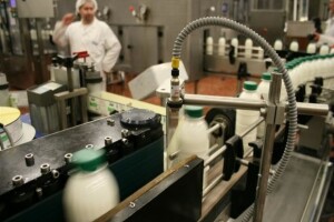 100 godina mljekare Krasnystaw