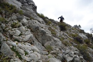 Ovčar Zore Gužvica među stijenama pronašao naklano janje koje je othranio na dudicu!