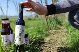 Kupilek - kupinovo vino iz Klanjca s Eko gospodarstva Jambrešić