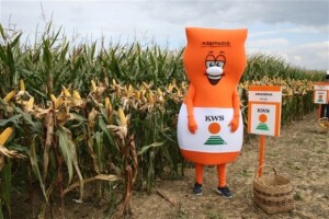 KWS premijera novih hibrida kukuruza i stočnog sirka!