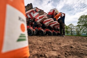 Sjetva KWS hibrida kukuruza u BiH