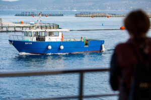 Lider hrvatske marikulture Cromaris