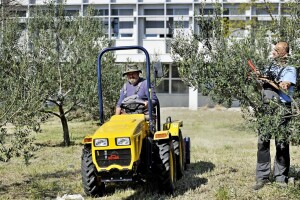 Braniteljske socijalno-radne zadruge Pauk-Čeka i Vrličanka