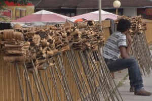 Petrovdanske lile - običaj zbog koga stradaju divlje trešnje