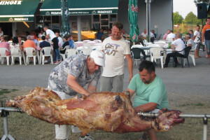 Dani dijaspore u Liskovcu