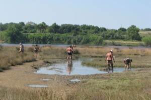 Ljekovito blato i solana u Ninu