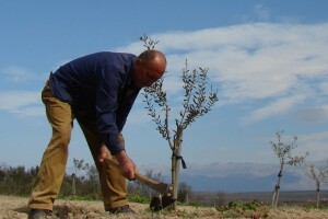 Kopam dakle jesam: Ajmooo.. svi motike u ruke