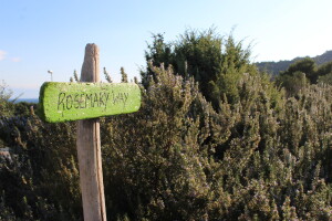 Miomirisni otočki vrt na Lošinju