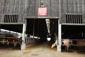 Farma Arator u Lovasu