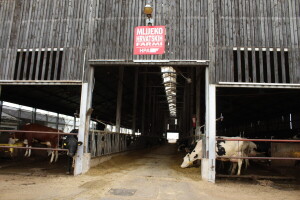 Farma Arator u Lovasu