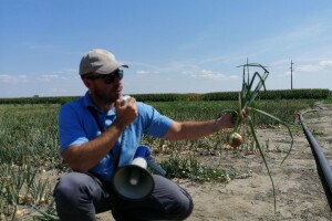 Dani polja proljetnog luka tvrtke Zeleni Hit