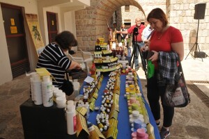 Zlatne ruke Podrinja