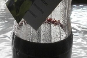 Prvi nasad majberija u Hrvatskoj