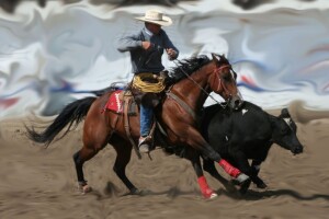 Agrohobisti i zaljubljenici u konje