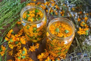 Majka i ćerka uzgajaju lekovito bilje i proizvode eterična ulja