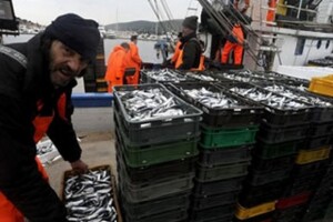 Mali hrvatski ribari