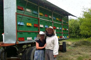 Pčelarstvo Matasović