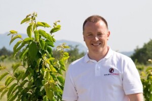 Projekt Terra Marascae &quot;zarazio&quot; Dalmatince