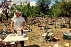 Marin je treća generacija pčelara u obitelji Kovačić