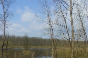 OPG Dragutin Marjanović