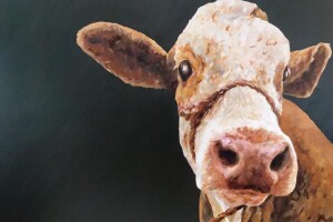 Slika samo jedan motiv - krave!