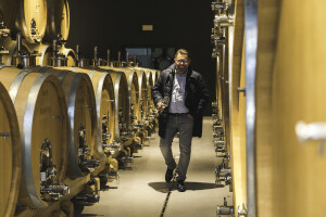 Feravino na dan sv. Martina otvorilo vrata novih podruma