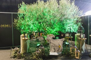 19. Dani mladog maslinovog ulja u Vodnjanu