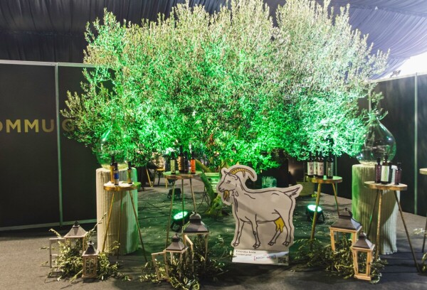 19. Dani mladog maslinovog ulja u Vodnjanu