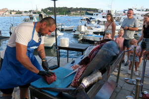 TUNAFEST - filetiranje tune na molu