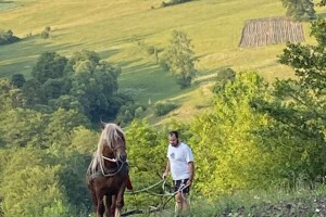 Dragan Simović šparta kukuruz pomoću konjske vuče