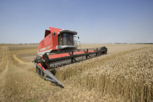 Kombajn Massey Ferguson Kombajni MF Delta