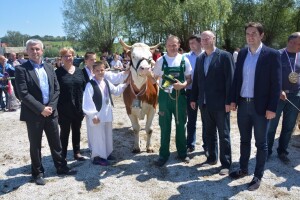 Izložba stoke i konja KZŽ