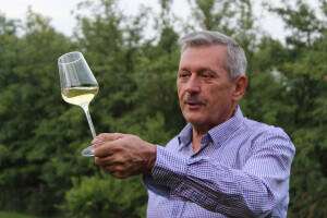 Mihalj Gerstmajer - Mišika