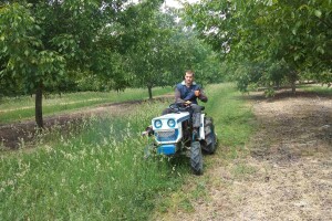 Nasad oraha Zorana Mikule