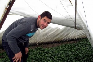 Porušeni plastenici kod Čačka