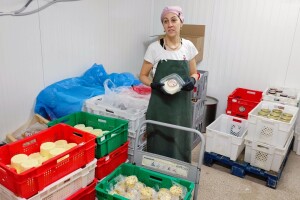 Sirana Vedrine u Lici