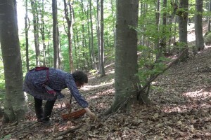 Milka Adžić o svetu otrovnih gljiva