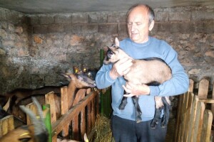 Milomir Stanojčić, kozar iz Bioske