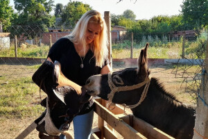 Magarac Teo Mirjane Matković Lučenčić