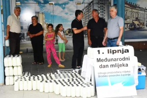 Međunarodni dan mlijeka