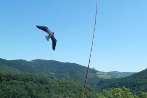 SCARYBIRD - Čuvar vaših useva i plodova