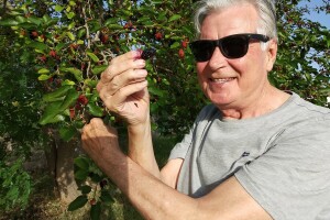 Sezona murava: Agronomi u "krađi" murava kod kuma Ante u Suhovarama