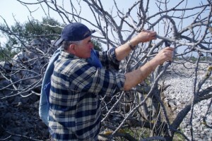 Natječaj za podmjere 4.1 i 4.2 se zatvara 10. travnja!