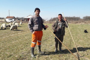 Prijedorski ovčari u pohodu prema Grmeču